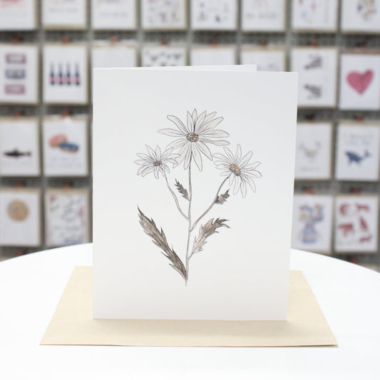 Daisy | Greeting Card