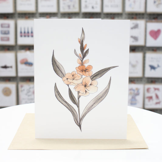 Gladiolus | Greeting Card