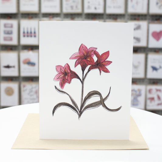 Amaryllis | Greeting Card