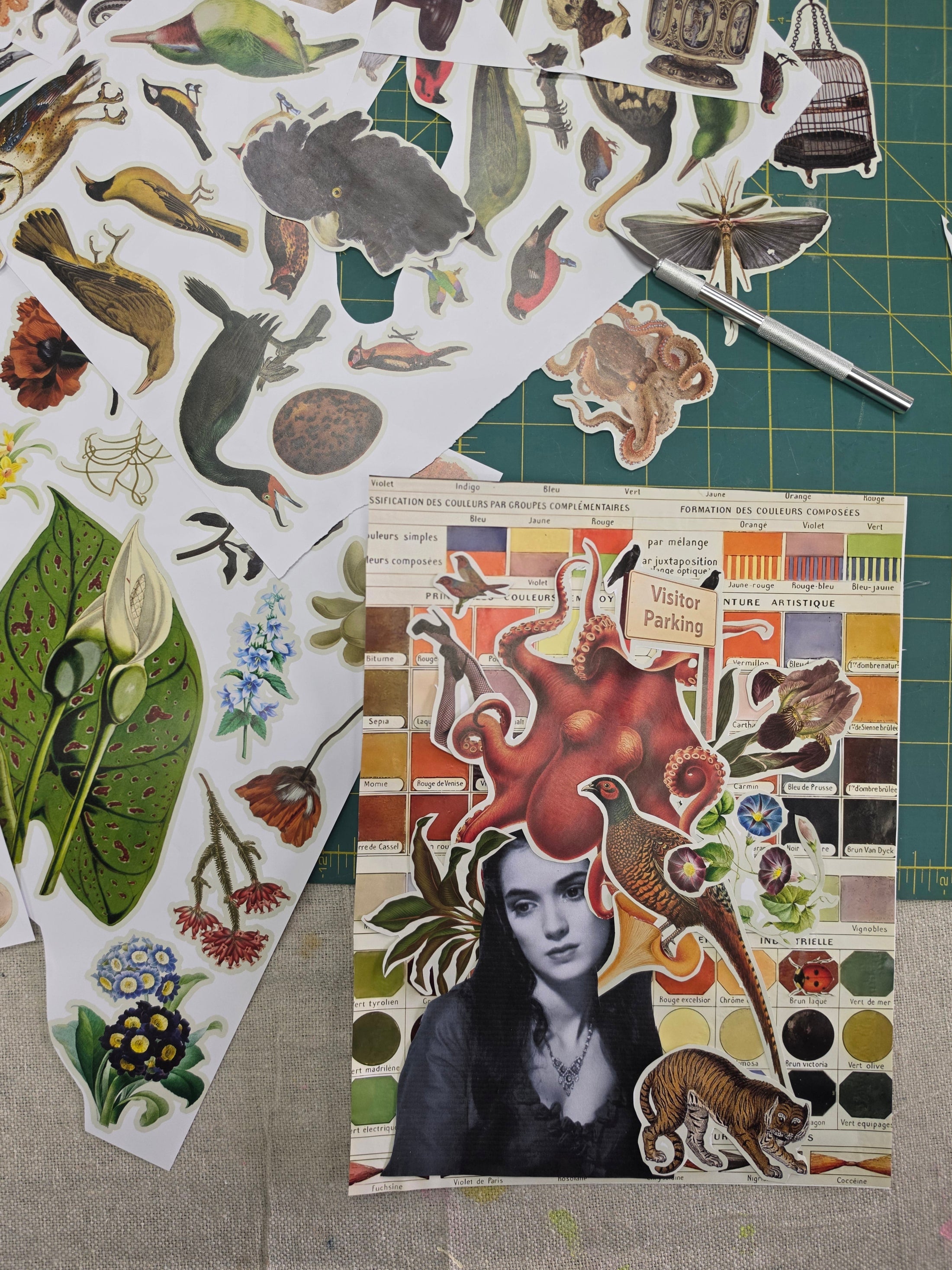 Collage Night