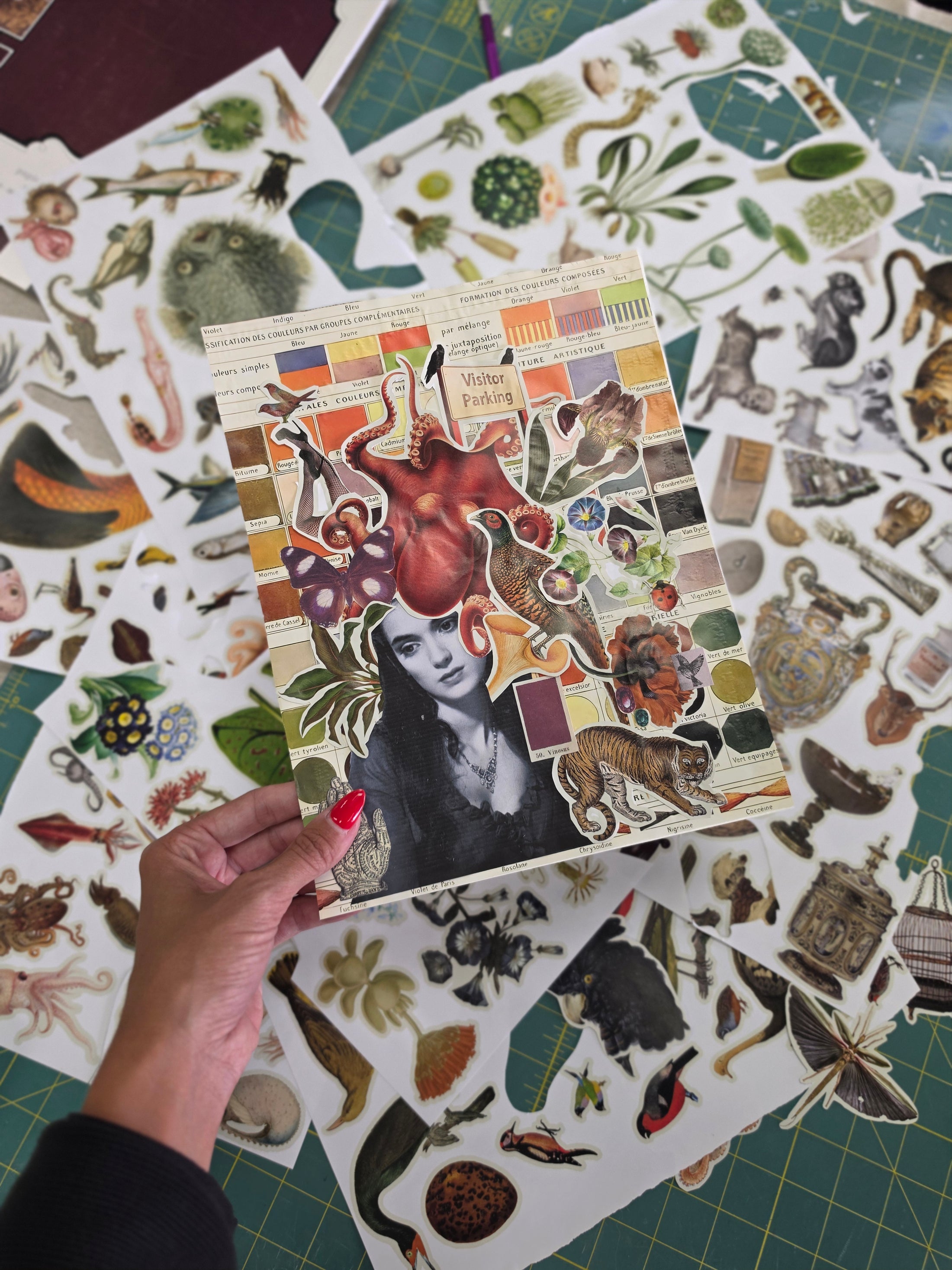 Collage Night