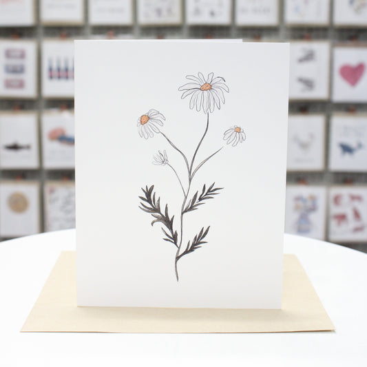 Hand crafted greeting card with white hand drawn chamomile flowers and leaves.   