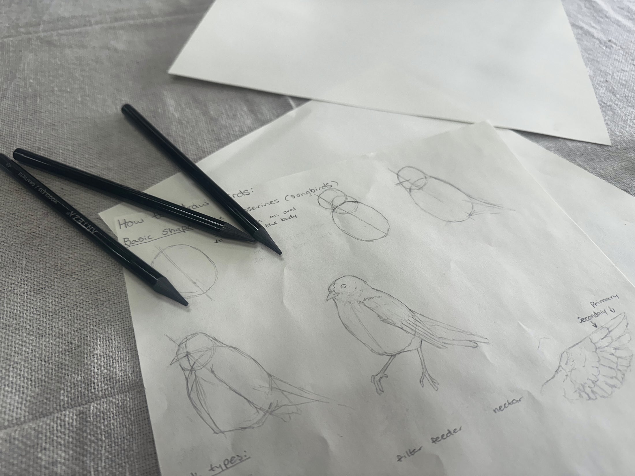 Meet and Make - Sketching Animals