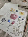 Load image into Gallery viewer, Sketch, Ink, Paint Watercolor Florals
